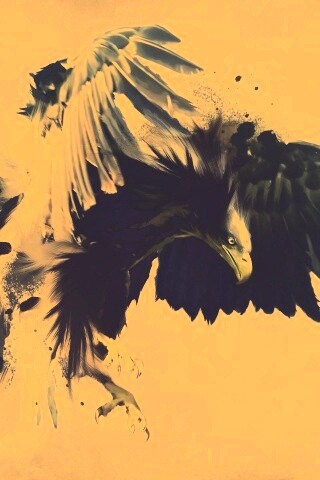 Скетч с орлом обои