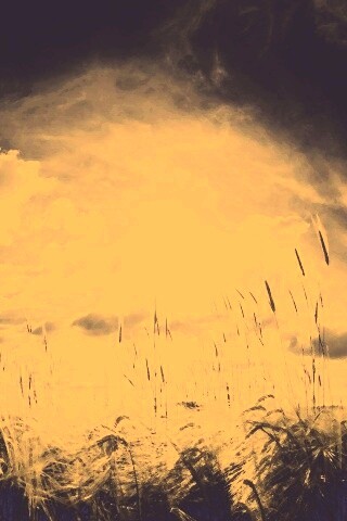 Сюрреалистичная трава обои