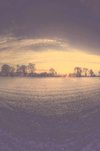 Поле широкоугольным объективом обои