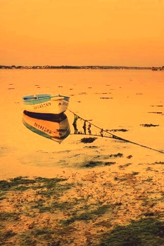 Лодка на илистом берегу обои