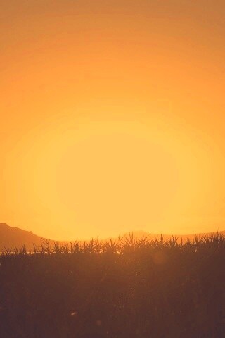 Сельский закат обои