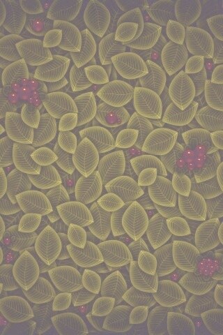 Векторные листья с ягодами обои