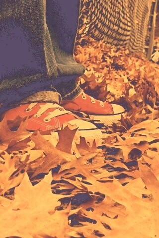 Оранжевые кеды обои