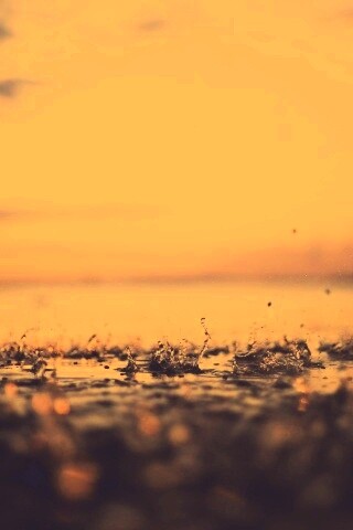 Дождь в макро обои