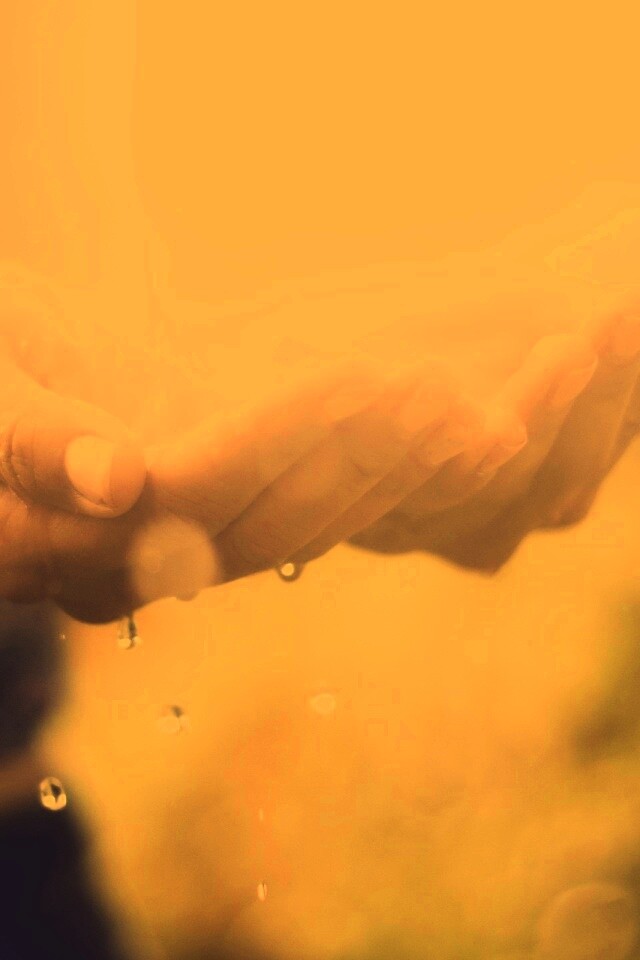 Дождь в ладонях обои