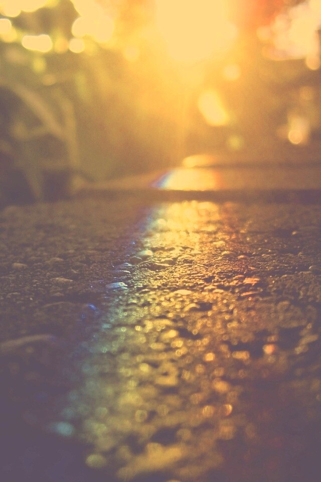 Макро радуга на камне обои