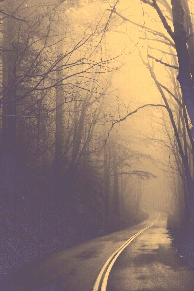 В туман обои