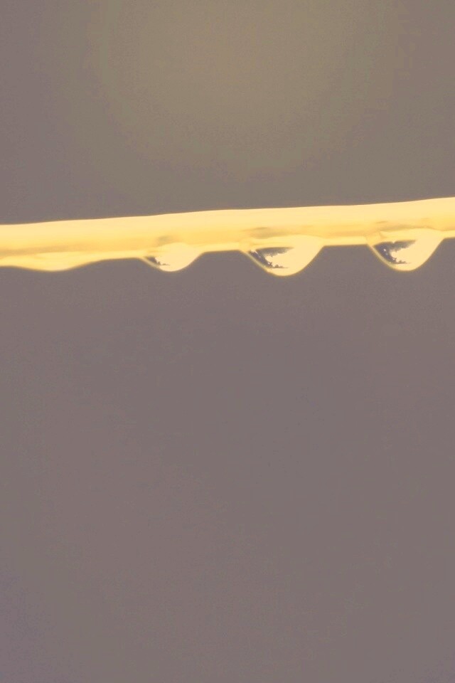 Капли на соломинке обои