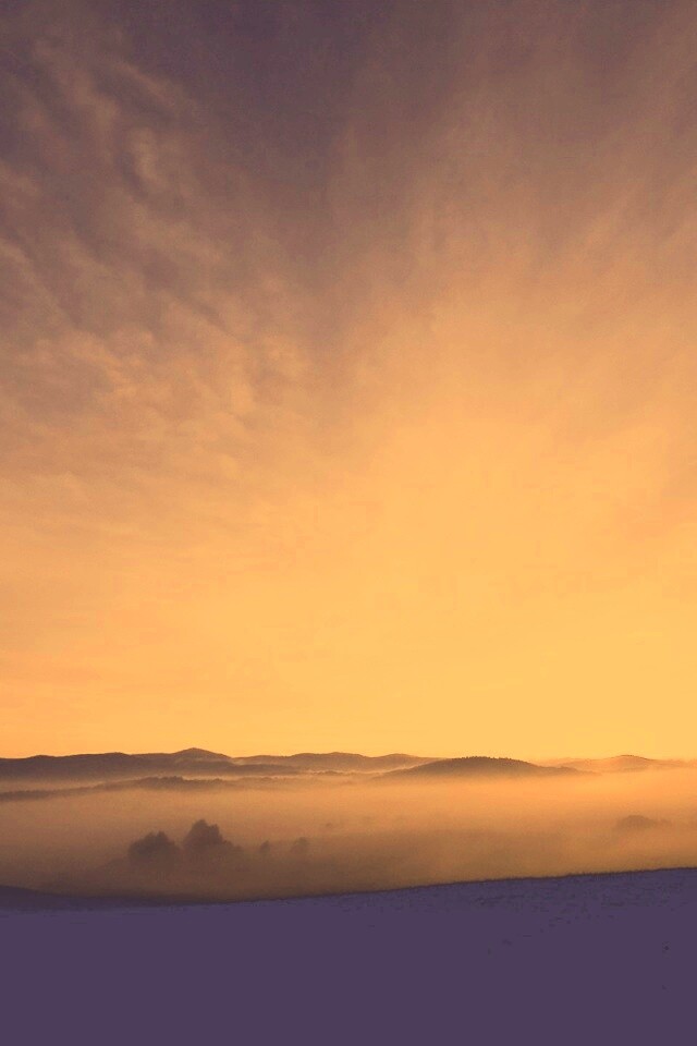 Утренний туман обои