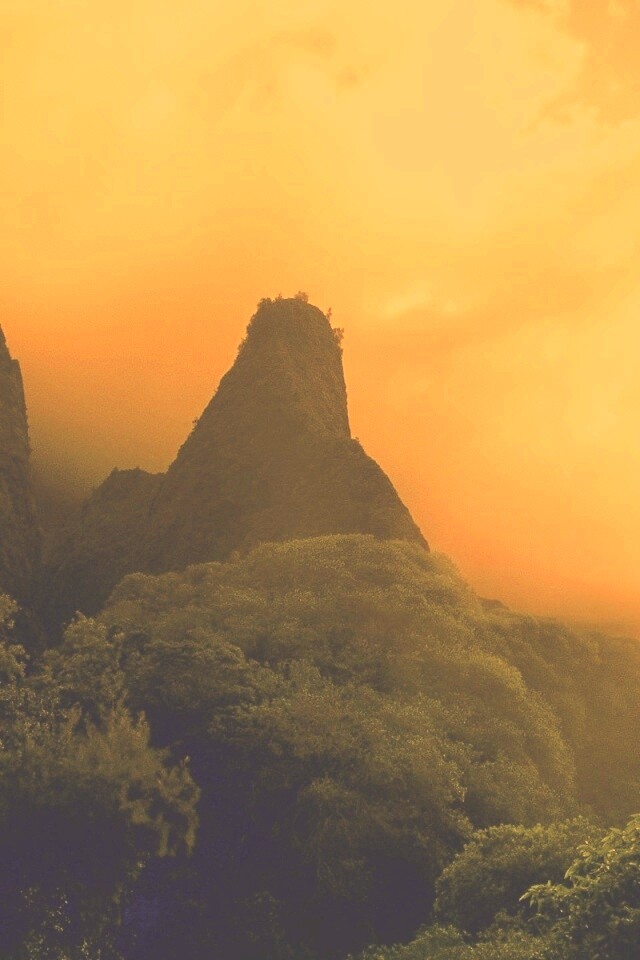 Заросшие джунглями горы обои