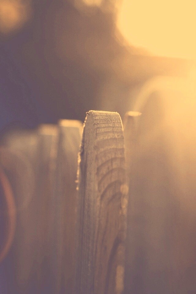 Деревянный забо обои