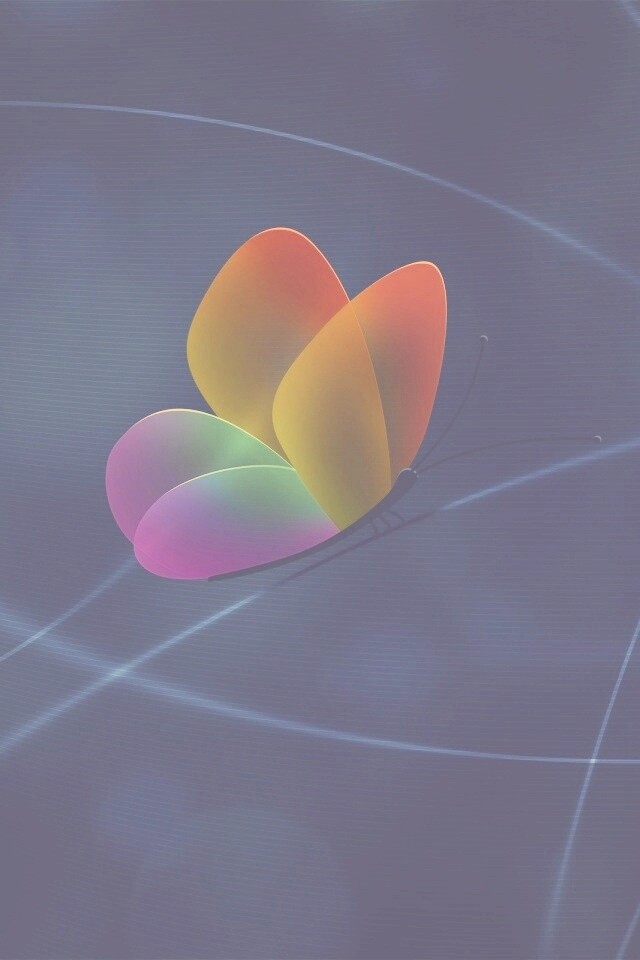 Бабочка с радужными крыльями обои