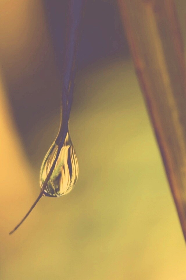 Стекающая капля обои
