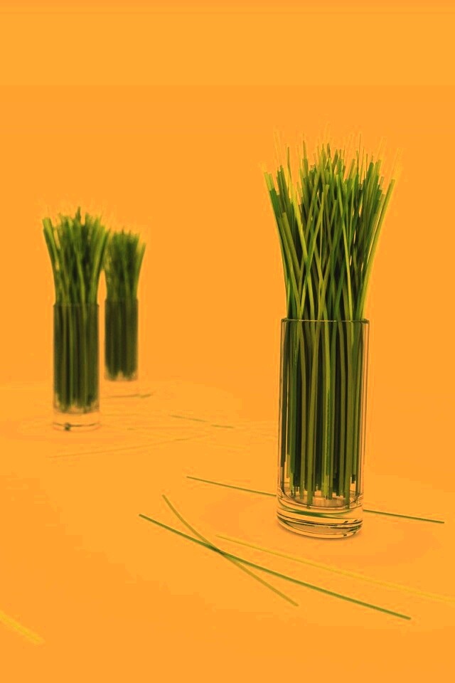Трава в стакане обои