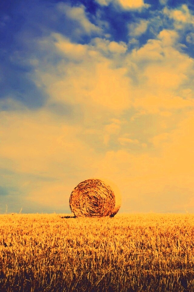 СОломеннынй рулон обои