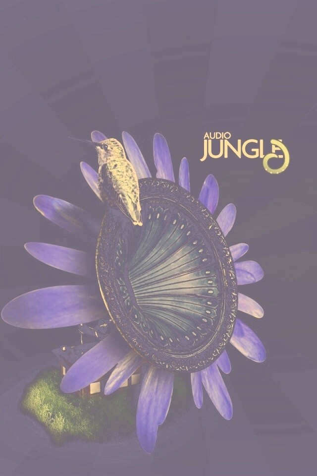 Звуки джунглей обои