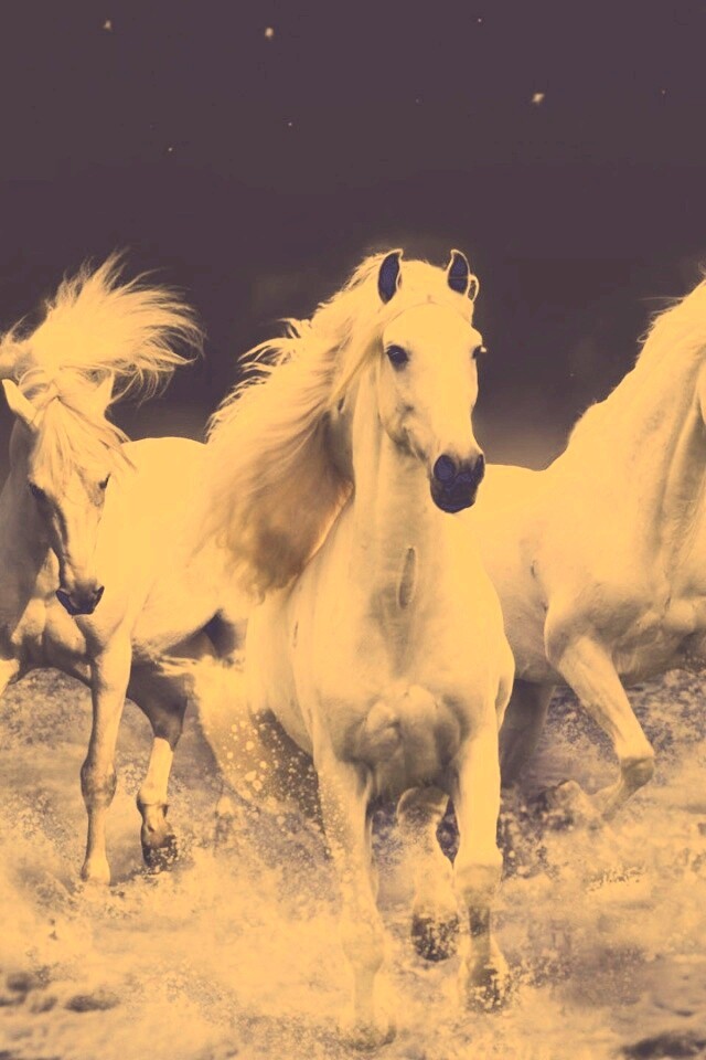 Тройка конец в море обои