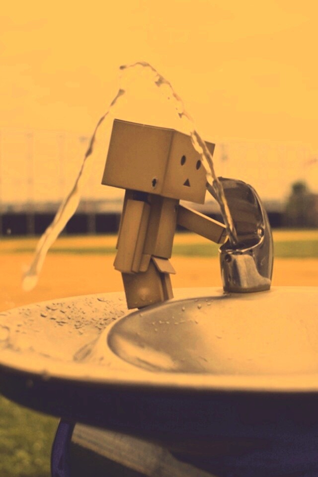 Дандо пьет в воду из фонтанчика обои