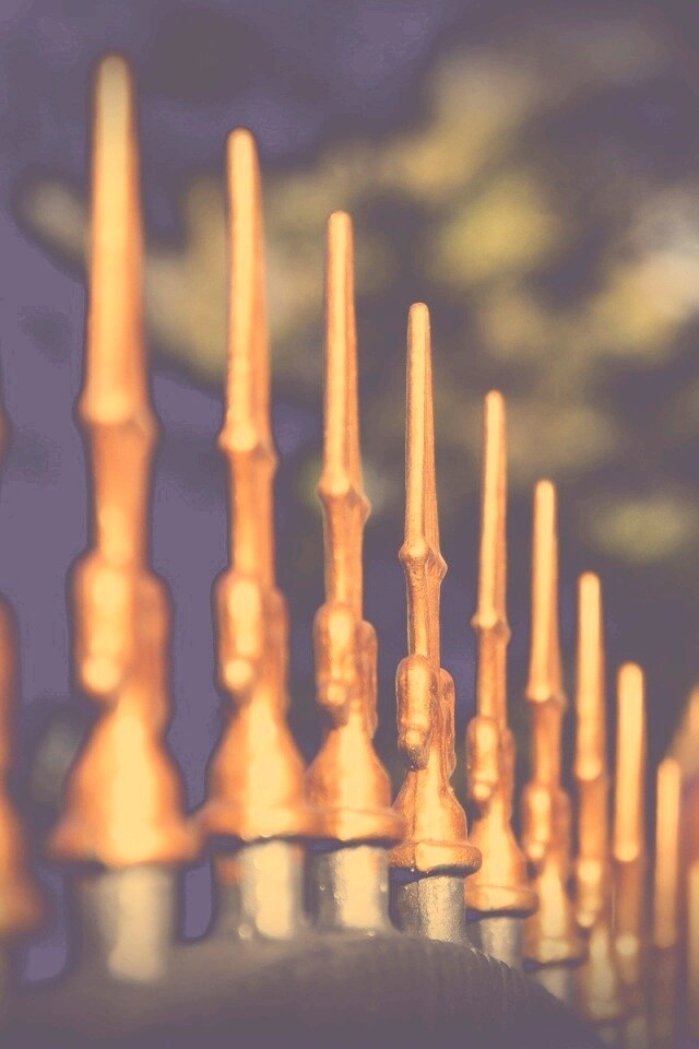 Оранжевые наконечники на ограде обои