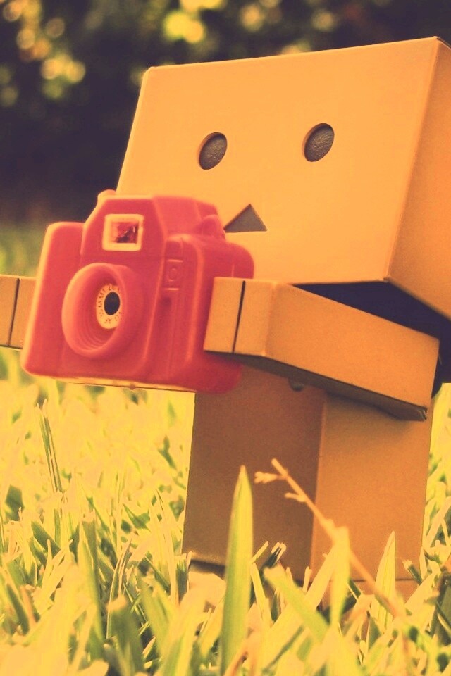 Данбо фотографирует обои