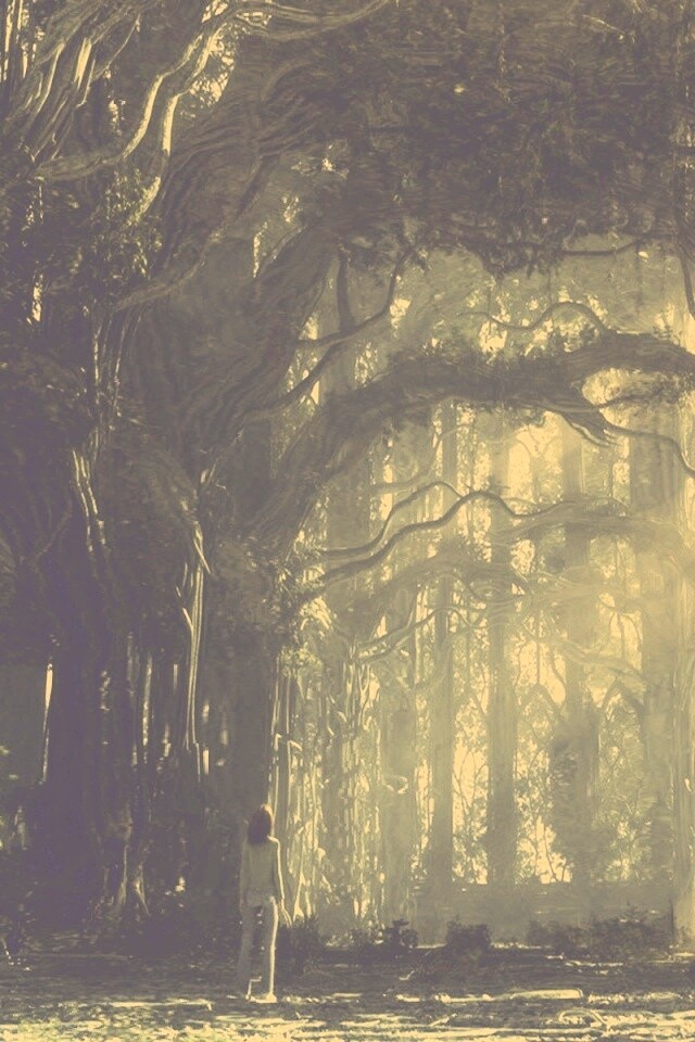 Одна в сумеречном лесу обои