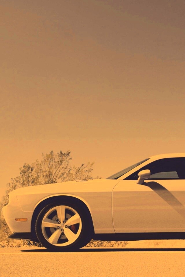 Стартующий Форд Мустанг обои