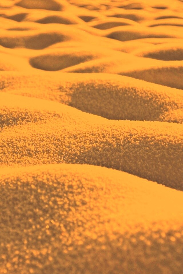 Песчаные бугры обои