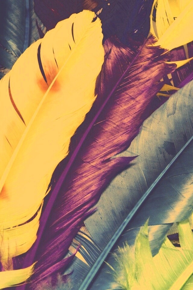 Разноцветные перья обои