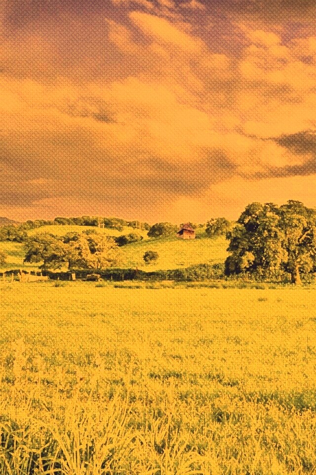 Домик на холмах обои