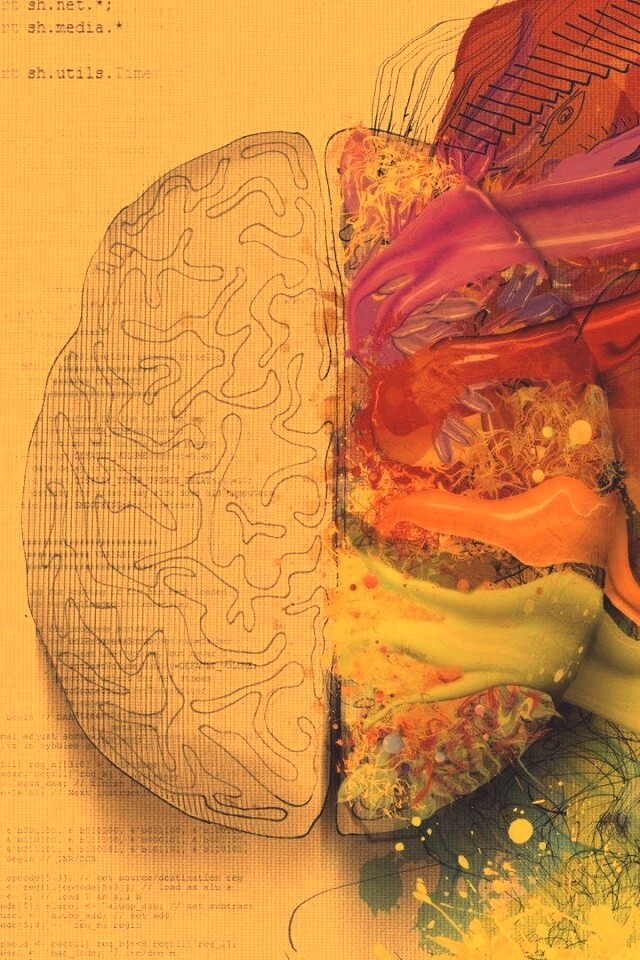 Различия левого и правого полушария обои