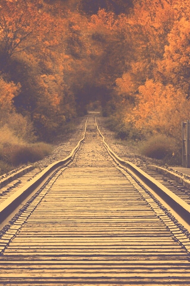 Железная дорога в осеннем лесу обои