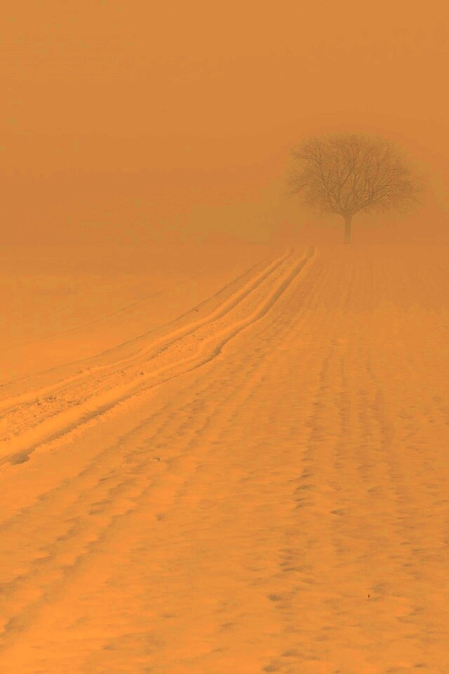 Заснеженное поле обои