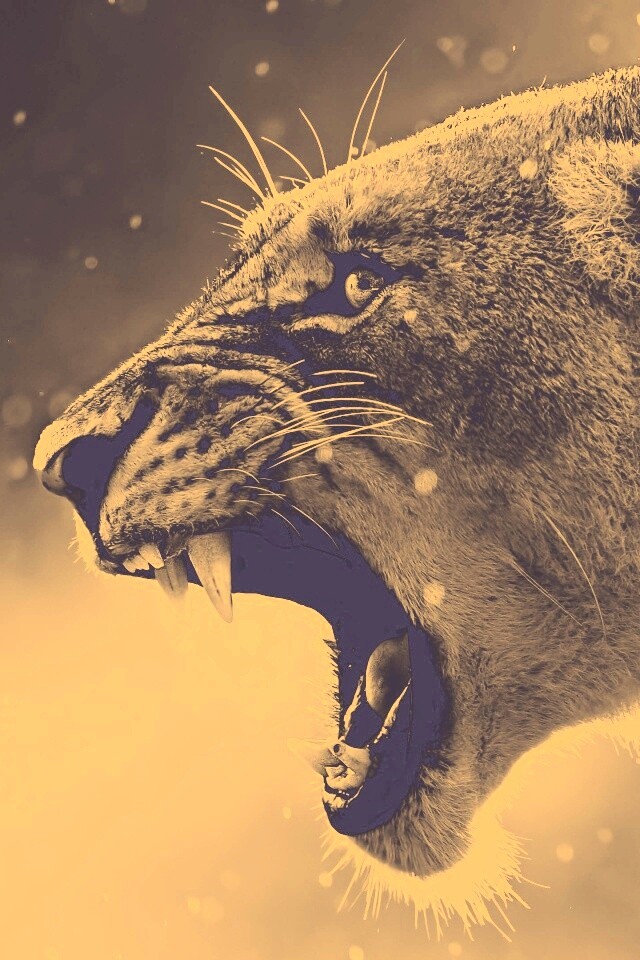 Грозный львиный рык обои