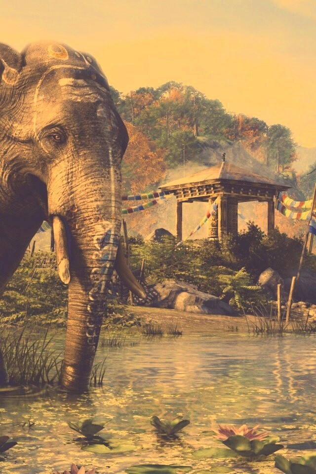 Слоники у воды обои