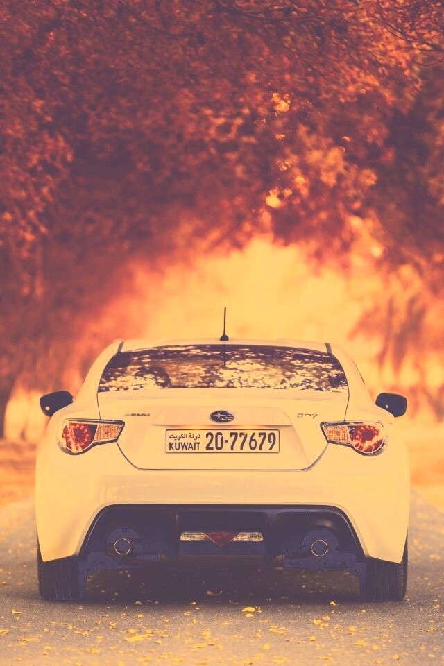 Субару на осенней дороге обои