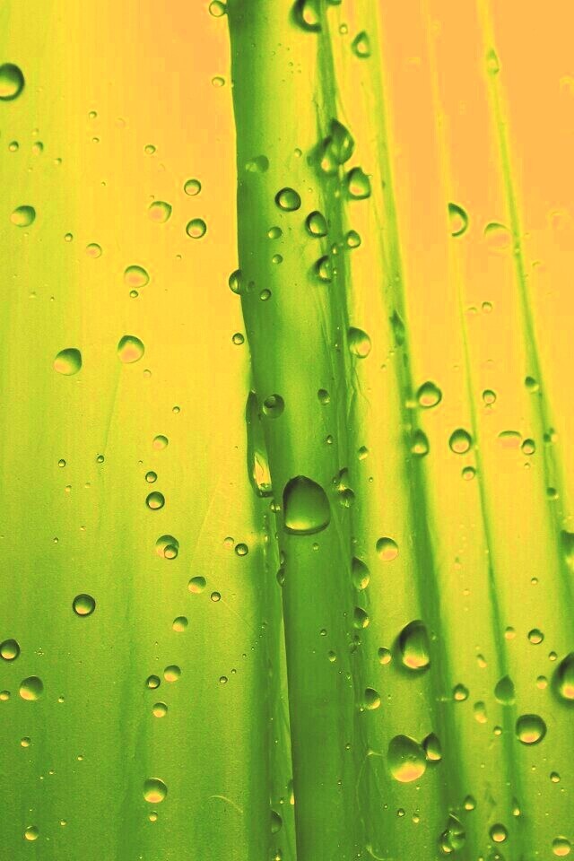 Капли на зеленом пластике обои