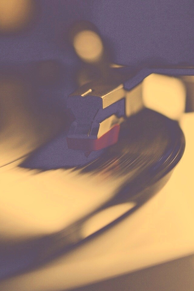 Пластинка обои