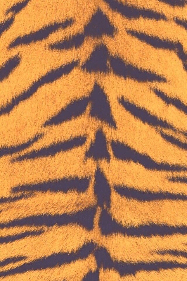 Тигриная шкура обои