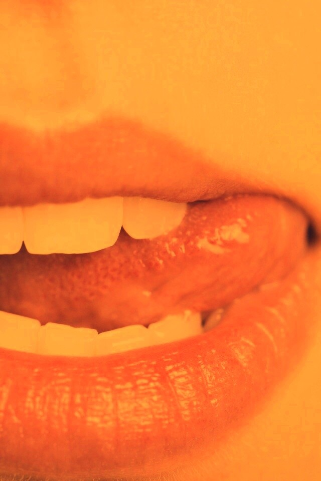 Сочные губки обои