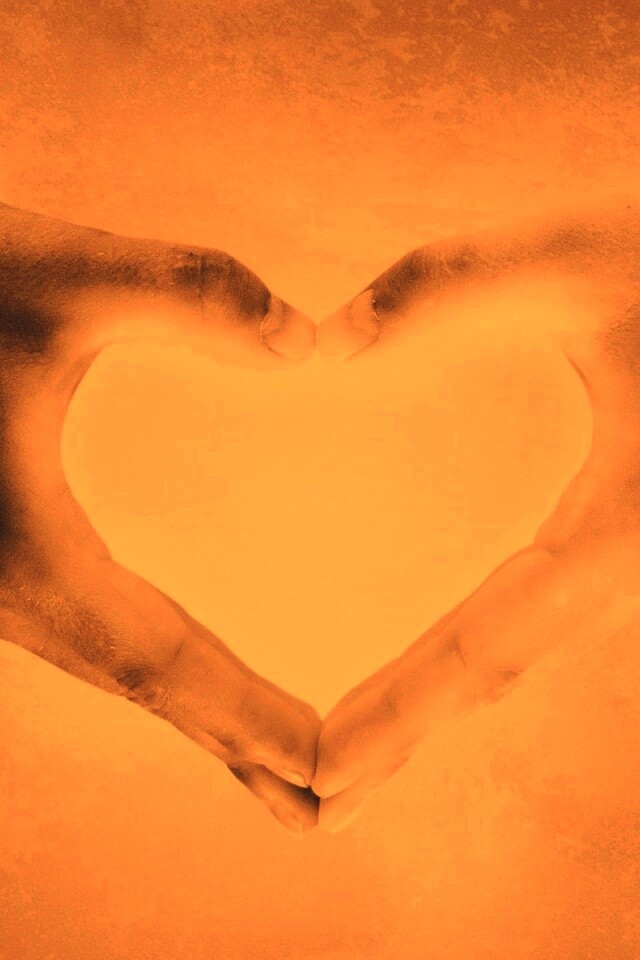 Сердце из сложенных рук обои