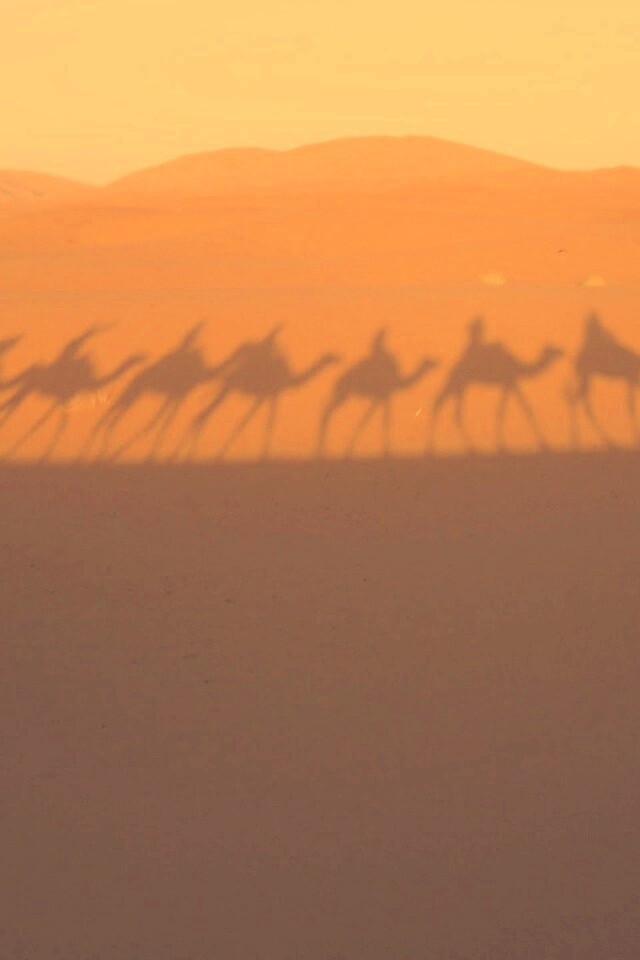 Караван обои