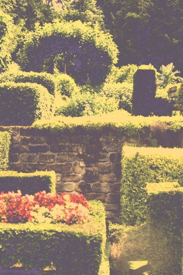 Декоративный сад обои