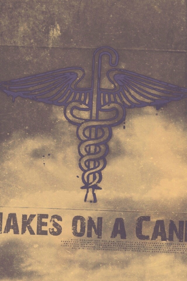 Змеи на трости обои