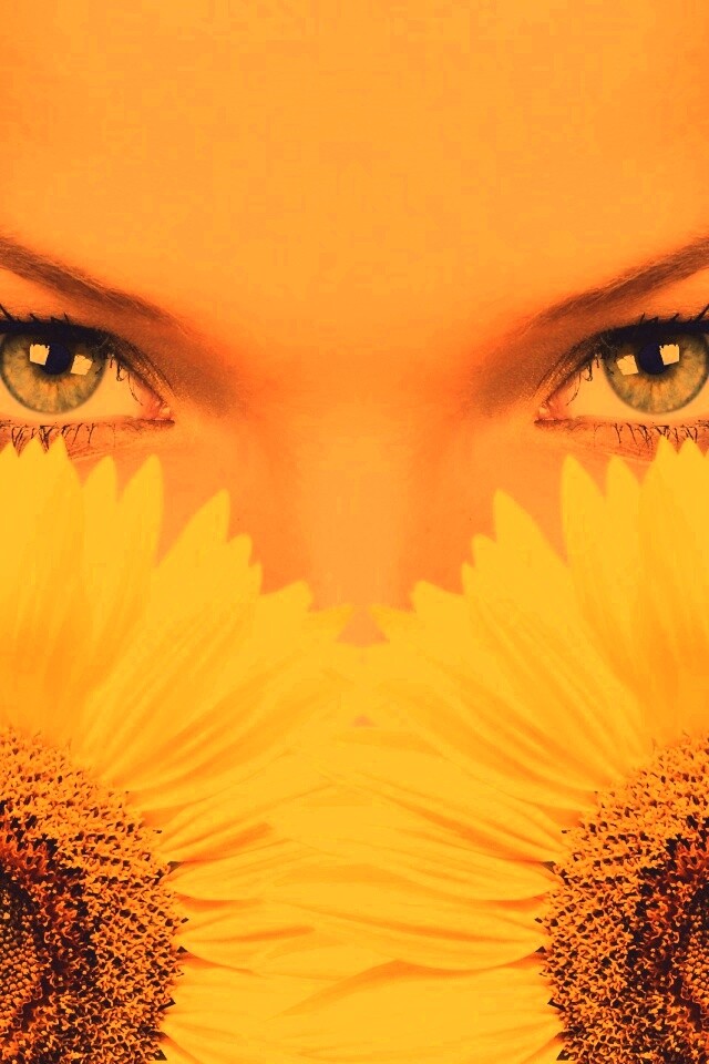 Девушка с желтыми ромашками обои