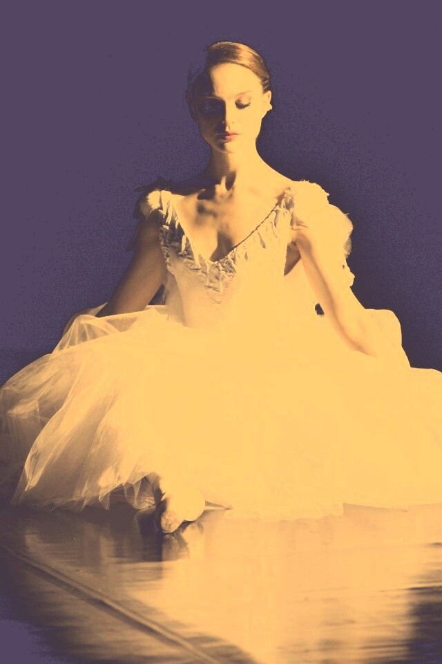 Черный лебедь обои