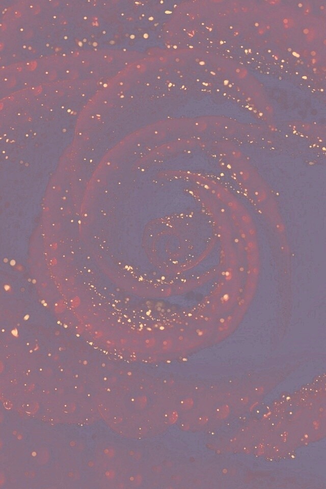 Красная роза обои