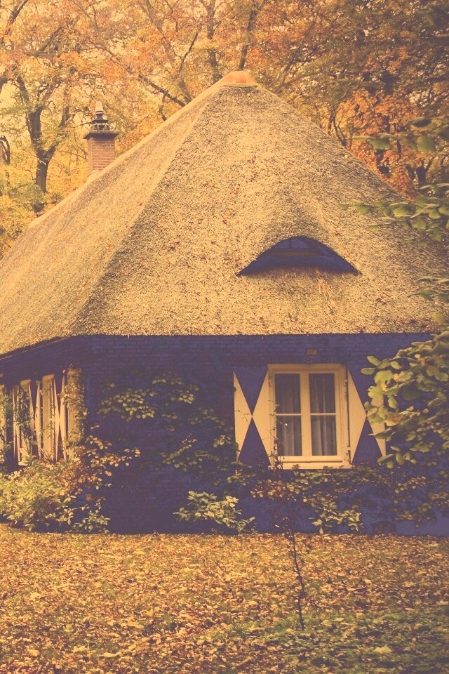 Домик в осеннем лесу обои