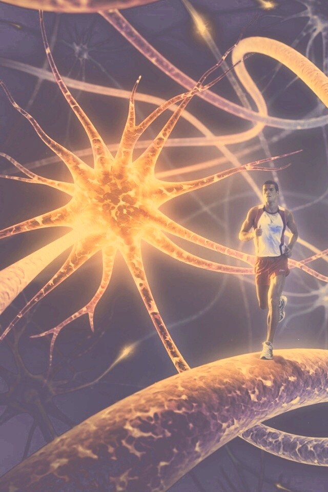 Бег мыслей обои