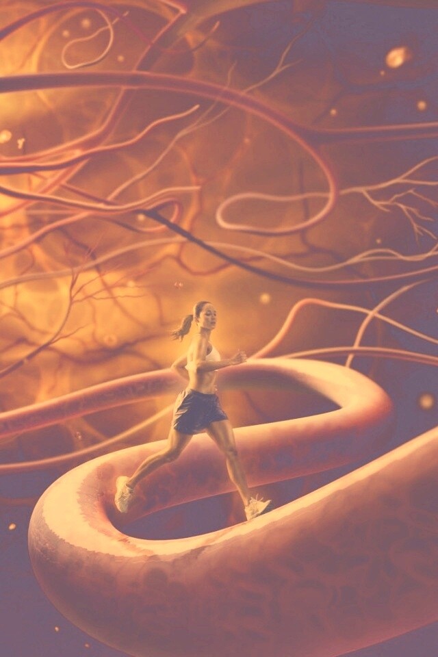 Бег крови обои