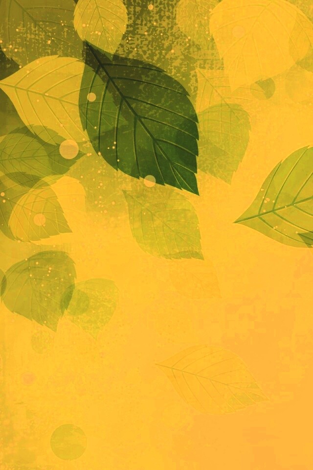 Прозрачные листья обои